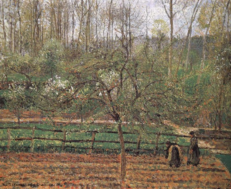 Camille Pissarro Spring Sweden oil painting art